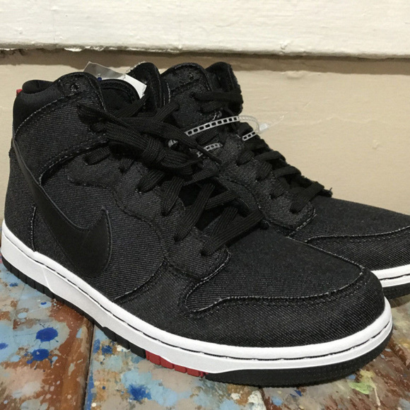mens nike dunk high
